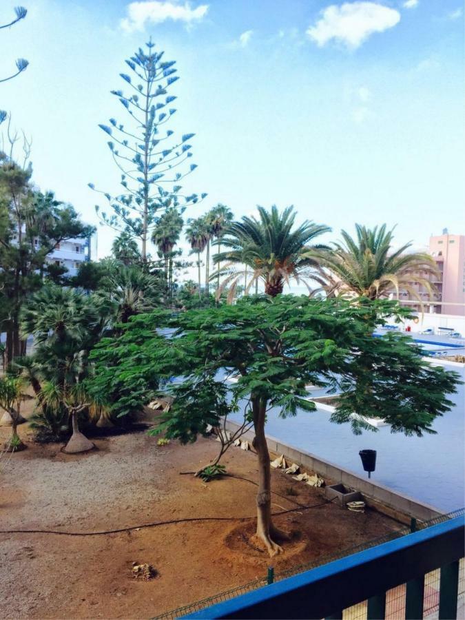 Enjoy The Sea And Pool In Playa De Las Americas المظهر الخارجي الصورة